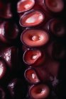 Високий кут крупним планом свіжі восьминогі щупальця з червоними відстійниками, розміщені на темному столі — стокове фото