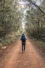 Чоловік-дослідник з рюкзаком, що йде піщаною стежкою в лісі під час походів і озирається — стокове фото