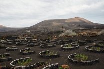 Arbusti e rocce situati su terreni asciutti vicino a strade e colline nella valle senza acqua nella giornata nuvolosa a Fuerteventura, Spagna — Foto stock