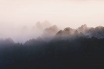 Vista panorâmica de Pedriza com névoa difundida entre a serra de Guadarrama e os pedregulhos com árvores de coníferas ao nascer do sol em Espanha — Fotografia de Stock