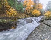 Vue panoramique du mont avec rivière avec des fluides d'eau mousseux sur des pierres entre les arbres d'automne à Lozoya, Madrid, Espagne. — Photo de stock