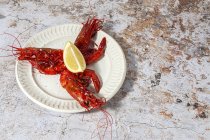 Смачні морепродукти варених червоних креветок зі свіжими скибочками лимона та грубою сіллю на білому тлі — стокове фото