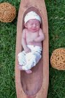 Top view of cute small newborn baby sleeping while lying in wooden tub placed on green grass — Stock Photo