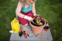 De arriba anónima mujer madura jardinero, transfiere una planta a una gran maceta en su jardín casero - foto de stock