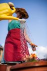 Снизу зрелая женщина поливает цветы в солнечный день — стоковое фото