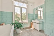 Дизайн інтер'єру просторої світлої ванної кімнати з вікном і зеленою плиткою на стінах, обставлених ванною і прикрашених горщиками в домашніх умовах — стокове фото