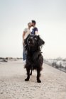 Liebenswerter flauschiger Hund, der zu homosexuellen Männern aufschaut, die sich auf der Anklagebank unter hellem Himmel in der Stadt küssen — Stockfoto