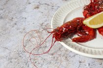 Вкусные морепродукты из приготовленных красных креветок со свежими ломтиками лимона и грубой солью на белом фоне — стоковое фото