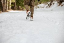 Visão traseira da colheita macho irreconhecível andando ao longo da estrada nevada em florestas de inverno — Fotografia de Stock