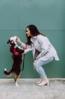 Vista laterale del proprietario femminile positivo che alimenta adorabile Border Collie cane in piedi sulle zampe posteriori durante l'allenamento in strada — Foto stock