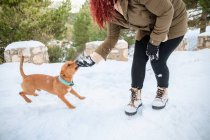 Seitenansicht der Ernte weibliche Besitzerin in Oberbekleidung spielt mit entzückenden Hund steht auf schneebedecktem Boden im Winterwald — Stockfoto