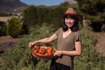 Eine entzückte Bäuerin steht mit einem Korb voller frischer Tomaten auf einem Feld im Grünen und blickt in die Kamera — Stockfoto