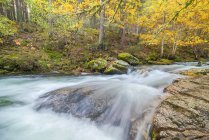 Vista panorâmica do monte com rio com fluidos de água espumosos sobre pedras entre árvores de outono em Lozoya, Madri, Espanha. — Fotografia de Stock