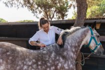 Feminino equestre cortando suavemente pele na parte de trás do cavalo cinza maçã na fazenda no verão — Fotografia de Stock