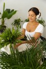 Gentle ethnic female listening to music from wireless headphones while touching tropical plant foliage in ornamental pot at home — Stock Photo