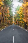 Route asphaltée sans fin longeant des bois luxuriants avec des arbres colorés en automne — Photo de stock