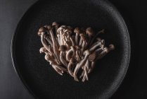 Top view of fresh shimeji mushrooms served on black plate on dark table in studio — Stock Photo