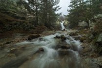 Pittoresca veduta della cascata con acqua schiumosa fluida tra massi con muschio e pini in autunno — Foto stock