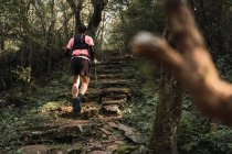 Visão traseira de viajante masculino irreconhecível com postes de trekking andando escadas de pedra velhas em selvas — Fotografia de Stock