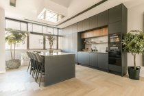 Interior da cozinha moderna com móveis cinza escuro e plantas envasadas verdes no apartamento em estilo mínimo — Fotografia de Stock