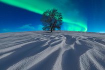 Espectacular vista del solitario árbol sin hojas que crece en el valle nevado en invierno bajo el cielo nocturno con aurora boreal verde brillante - foto de stock
