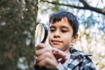 Attentive ethnic kid with magnifying glass studying tree trunk with moss in forest on blurred background — Stock Photo