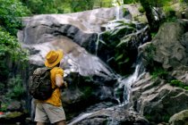 Vista laterale dell'escursionista maschio irriconoscibile in piedi sul masso e ammirando la cascata nella foresta — Foto stock