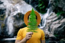 Viajero masculino pacífico en ropa amarilla de pie con hoja de helecho verde en la cara y disfrutando de la naturaleza en el fondo de la cascada en el bosque - foto de stock