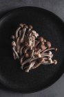 Вид сверху на свежие грибы шимедзи, подаваемые на черной тарелке на темном столе в студии — стоковое фото