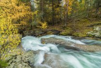 Szenische Ansicht des Berges mit Fluss mit schäumenden Wasserflüssigkeiten auf Steinen zwischen Herbstbäumen in Lozoya, Madrid, Spanien. — Stockfoto