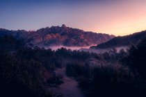 Scenic view of Pedriza with mist diffusing between Guadarrama mountain range and boulders with coniferous trees at sunrise in Spain — Stock Photo