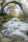 Scenic view of mount with river with foamy water fluids on stones between autumn trees in Lozoya, Madrid, Spain. — Stock Photo