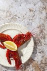 Смачні морепродукти варених червоних креветок зі свіжими скибочками лимона та грубою сіллю на білому тлі — стокове фото