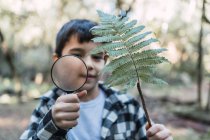 Niño enfocado con hoja de planta verde mirando a través de lupa en maderas sobre fondo borroso - foto de stock