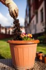 Anonymous mature woman gardener throwing new soil to the plant she has transplanted in a pot in her garden — Stock Photo