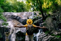 Rückansicht eines nicht wiedererkennbaren männlichen Wanderers, der mit offenen Armen auf einem Felsbrocken steht und den Wasserfall im Wald bewundert — Stockfoto