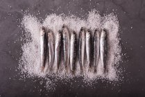 Vista superior de pequeñas anchoas servidas en fila sobre sal sobre mesa negra - foto de stock