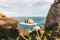 Incredibile scenario di riva al mare con isolotti rocciosi lavati da acque calme blu vicino alla costa con fiori in fiore in estate sera a Liencres Cantabria Spagna — Foto stock