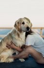 Barefoot woman embracing loyal Golden Retriever dog while sitting on bed inside RV during road trip in nature — Stock Photo