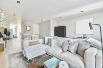 Интерьер современной гостиной с удобным диваном на ковре перед телевизором в просторных апартаментах с белыми стенами и большими окнами — стоковое фото