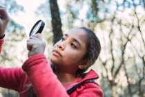 Aufmerksame ethnische Kind mit Lupe untersucht Baumstamm mit Moos im Wald auf verschwommenem Hintergrund — Stockfoto
