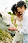 Весела мультирасова пара погладжує сірого коня, обгортаючи на лузі в сільській місцевості влітку — стокове фото