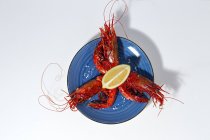 Leckere Meeresfrüchte aus gekochten roten Garnelen mit frischen Zitronenscheiben und grobem Salz auf weißem Hintergrund — Stockfoto