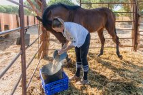 Side view of female farmer pouring food for feeding horses standing in stable on ranch in summer — Stock Photo