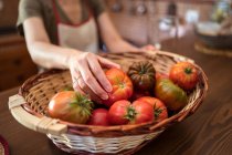 Mucchio di pomodori freschi in cesto di vimini posto sul tavolo in cucina rustica nella stagione del raccolto — Foto stock