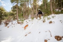 Мужчина в теплой одежде играет с милой собакой в снежном парке зимой — стоковое фото