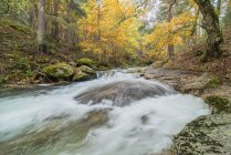 Живописный вид на гору с рекой с пенными жидкостями воды на камнях между осенними деревьями в Лосое, Мадрид, Испания. — стоковое фото