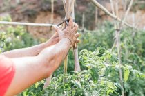 Coltivazione irriconoscibile agricoltore azienda giardinaggio strumento in mano sporca durante il lavoro in campagna — Foto stock