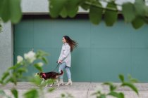Seitenansicht einer Besitzerin, die mit Border Collie Hund an der Leine spazieren geht und dabei Spaß beim Stadtbummel hat — Stockfoto
