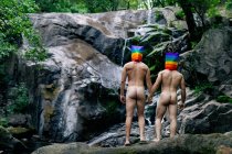 Back view of anonymous nude gay males with rainbow bags on heads holding hands while standing near waterfall in forest — стоковое фото